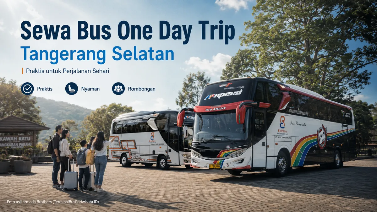 sewa bus one day trip